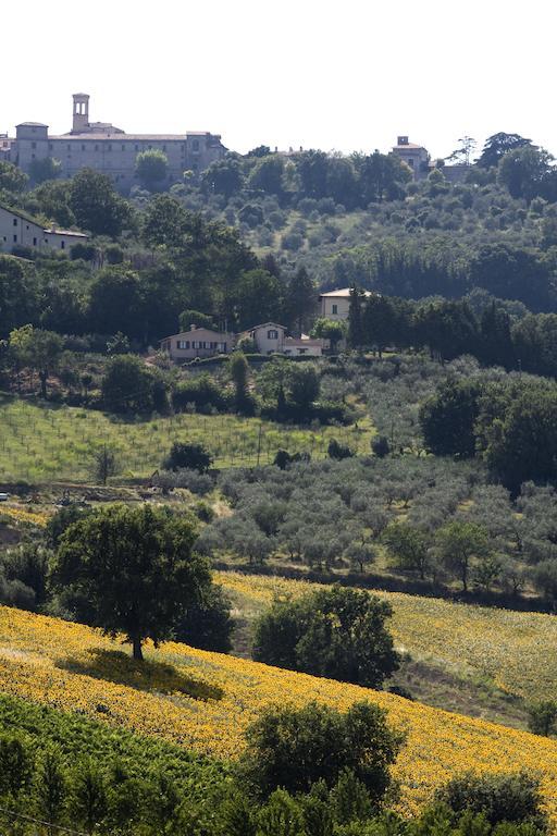 Agriturismo Il Girasole Montefalco Extérieur photo
