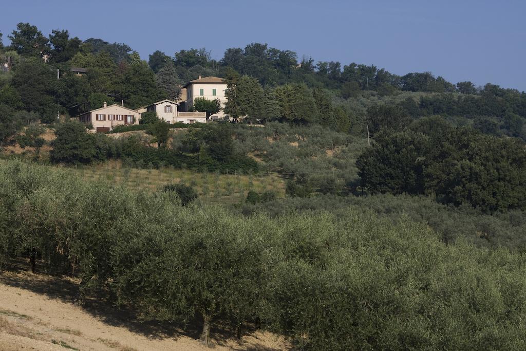 Agriturismo Il Girasole Montefalco Extérieur photo