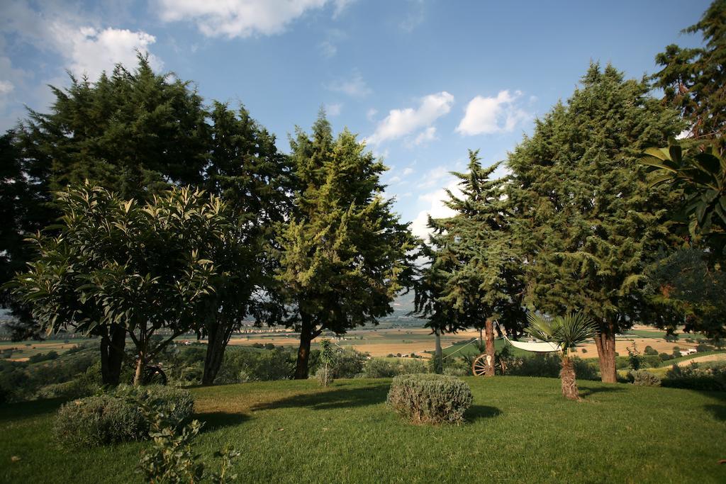 Agriturismo Il Girasole Montefalco Chambre photo