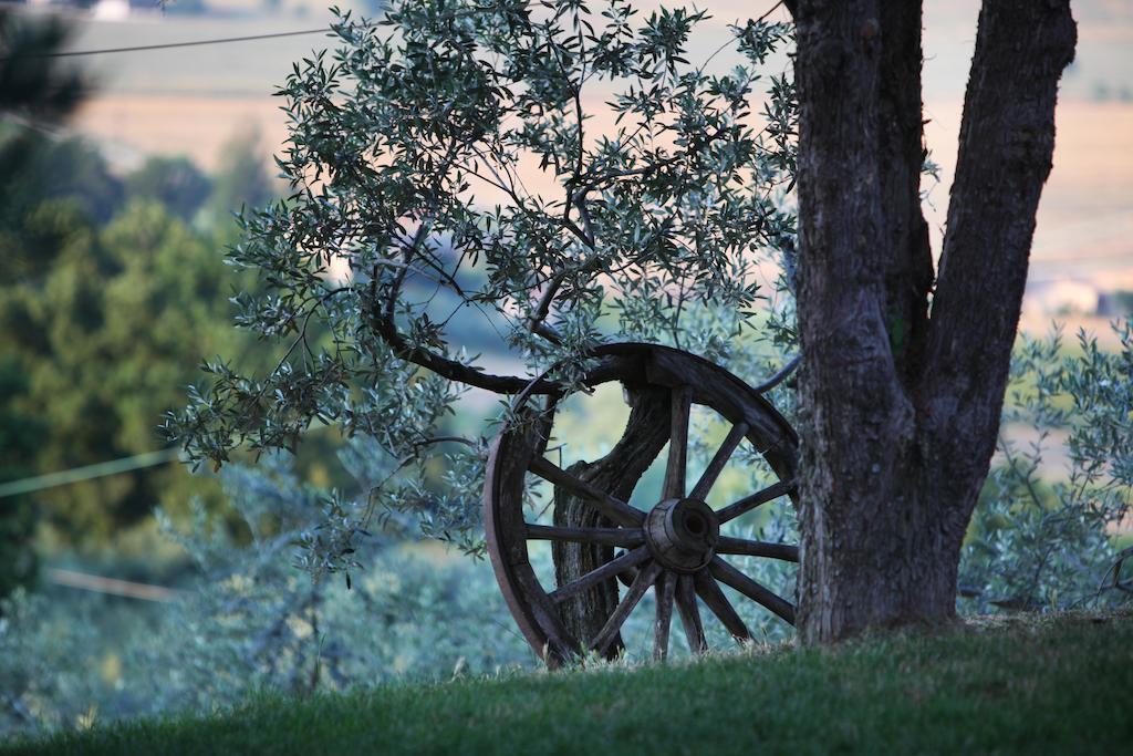 Agriturismo Il Girasole Montefalco Extérieur photo