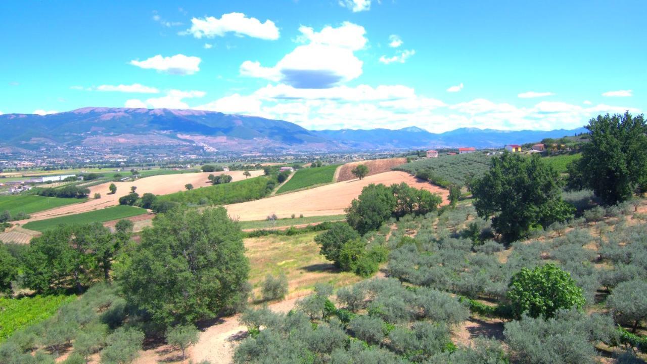 Agriturismo Il Girasole Montefalco Extérieur photo